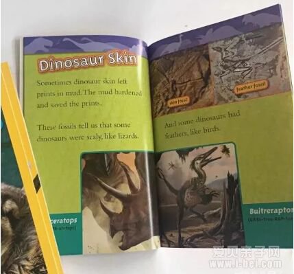 �ּ����National Geographic �������ҵ���Pre-reader-level 3ȫ4��