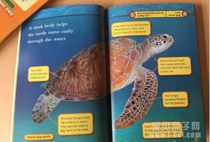 �ּ����National Geographic �������ҵ���Pre-reader-level 3ȫ4��