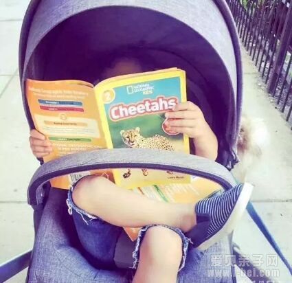 �ּ����National Geographic �������ҵ���Pre-reader-level 3ȫ4��