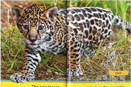 �ּ����National Geographic �������ҵ���Pre-reader-level 3ȫ4��