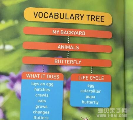 �ּ����National Geographic �������ҵ���Pre-reader-level 3ȫ4��