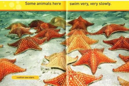 �ּ����National Geographic �������ҵ���Pre-reader-level 3ȫ4��