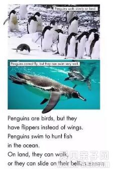 RAZ�ּ����Reading a-z��raz��ϵ��AA-P��