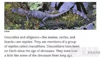 RAZ�ּ����Reading a-z��raz��ϵ��AA-P��