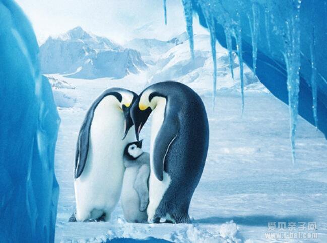 ������ռ�