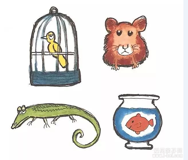 Pete the Catϵ��A pet for pete Ƥ��è�ĳ����Ķ�ָ��