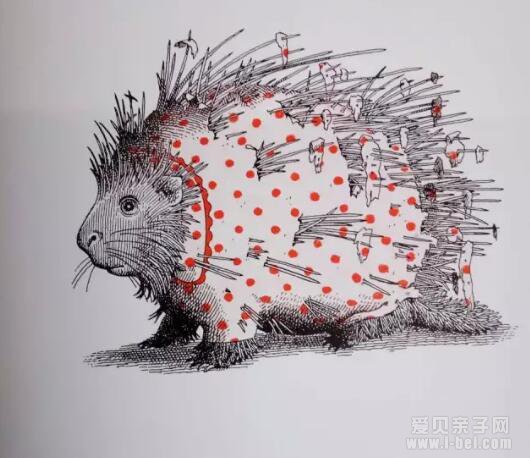 ������Ȼ���ɣ���������Բ�Ӧ�ô��·����汾����