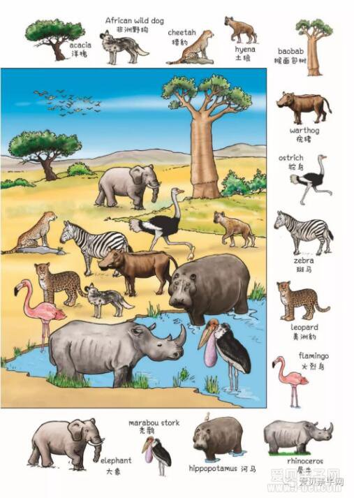  ���⺢���õ�ͼ��ʵ䣡��������ʵ俴��һƪ�͹��ˣ� 