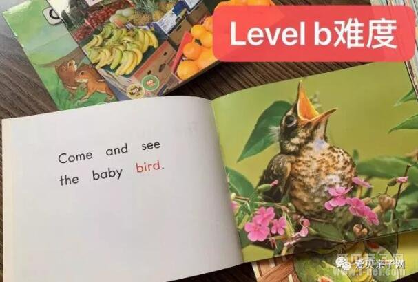 ���Ϊ���ɽ׶εĺ�����ѡ���ʵ�Ӣ��汾?