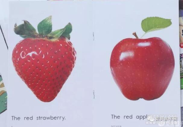 ���Ϊ���ɽ׶εĺ�����ѡ���ʵ�Ӣ��汾?