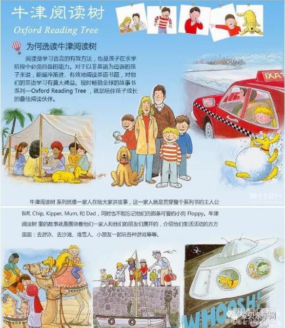  ����Ӣ���������ô�죿�����׹�����Ʒּ����ﶼҪ��