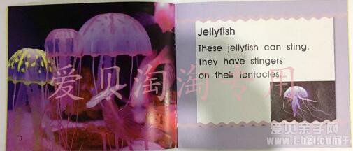 �汾�����ٶ��ּ��Ķ�3�������ib��Ƶ������