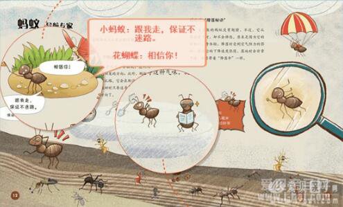 ���¡�ʫ�������Ļ汾���׶�С�ٿơ�6��ib���������