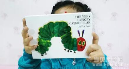 Ӣ��ԭ�澫����������ֽ����3�� ib��ʽ���������