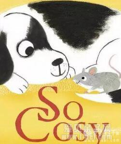 So Cosy ������ ib��ʽ���������