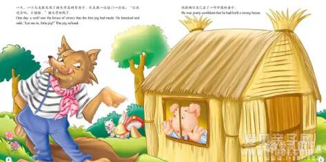 ����������Լ�˫��汾��10������ ib���������