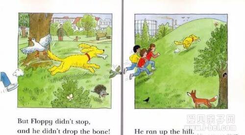  ţ���Ķ���2�ס�Floppy and the bone������ָ��