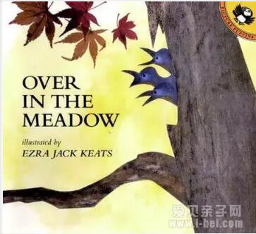  Ӱ�캢�ӵ�50��Ӣ�������鵥�Ƽ����ʺ�2&mdash;4��