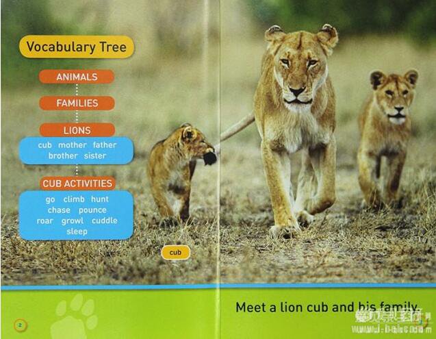 �������ҵ����ּ�����