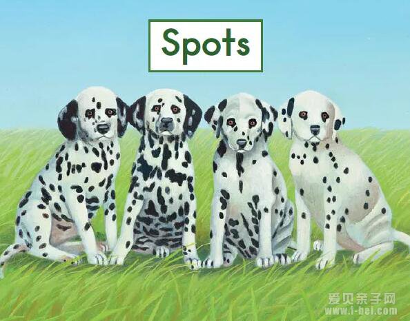 GK“˵”Spots