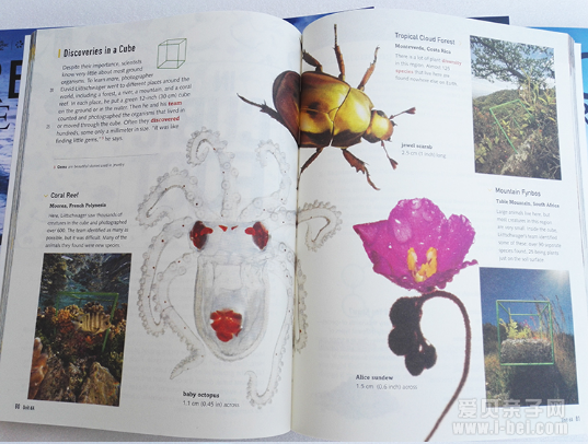 国家地理Reading Explorer 阅读与探索6册全彩版mp3音频下载