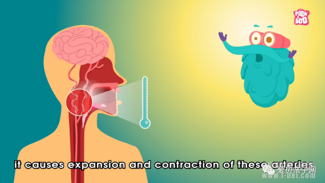 冠状病毒是什么What Is Coronavirus?Peekaboo Kidz6分钟动画