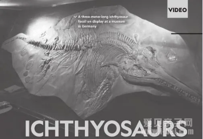 ��3�� ���ҵ���Reading Explorer6������ ����Ƶ���ʻ�����𰸷���