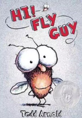 �������飺����ӬС�ӡ�Fly Guyϵ����ȫ�ϼ������