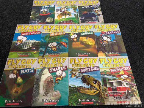  �������飺����ӬС�ӡ�Fly Guyϵ����ȫ�ϼ������