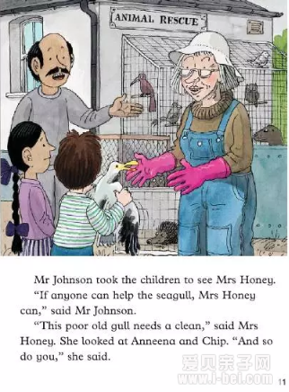 ţ���Ķ����汾�Ķ�֮Green Island����ָ��