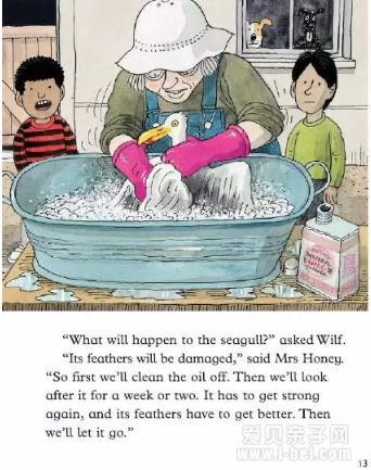 ţ���Ķ����汾�Ķ�֮Green Island����ָ��