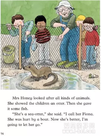 ţ���Ķ����汾�Ķ�֮Green Island����ָ��