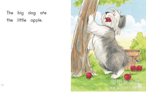 �ּ��Ķ����ף�������(Heinemann)G1��̵����