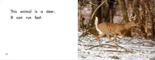 �ּ��Ķ����ף�������(Heinemann)G1��̵����