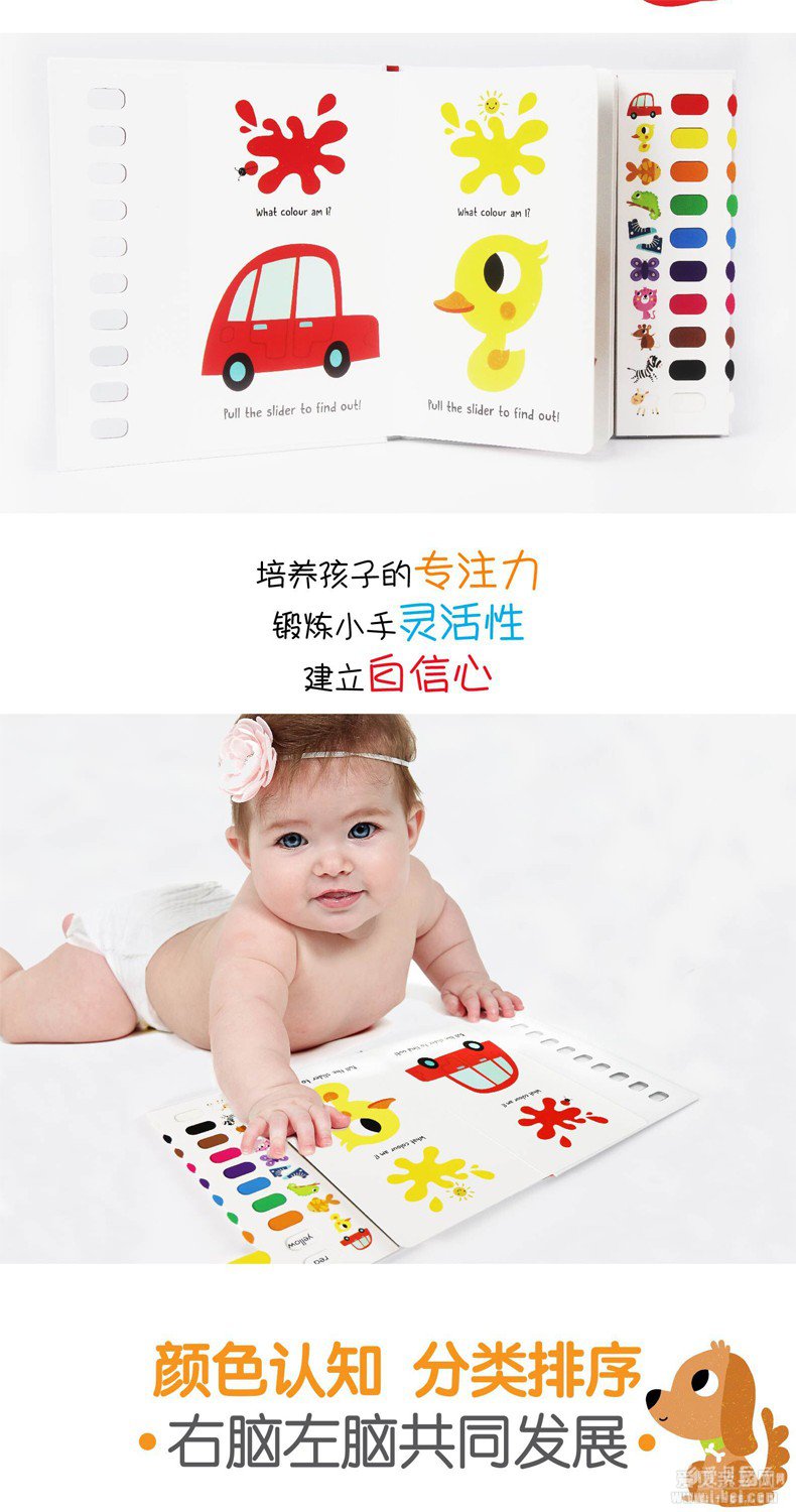 One By One�ҵĵ�һ�������飨2����ib���������