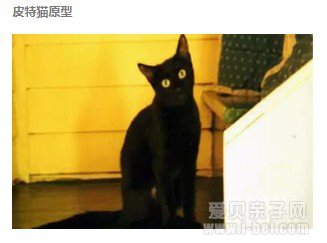 �����������鵥�Ƽ���Ƥ��è Pete the Cat 6������