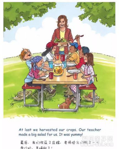 ������Ȼƴ������С�������ӹ��� 12����Ӣ˫������