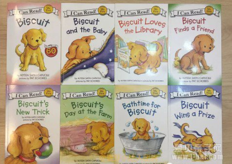 С���� Biscuit 23������