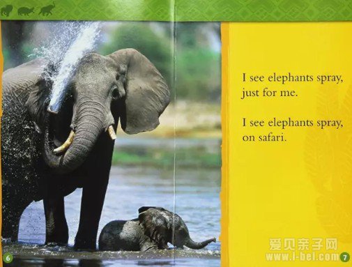 ���ҵ����׶���Kids Look and Learn12��ֽ����