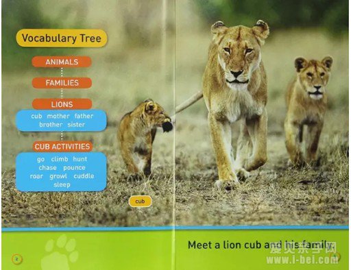 ���ҵ����׶���Kids Look and Learn12��ֽ����