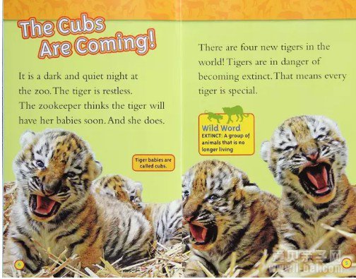 ���ҵ����׶���Kids Look and Learn12��ֽ����