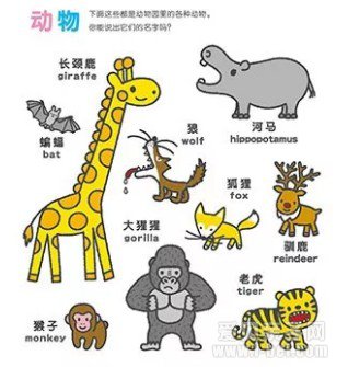 ˫����֪С�ٿ�