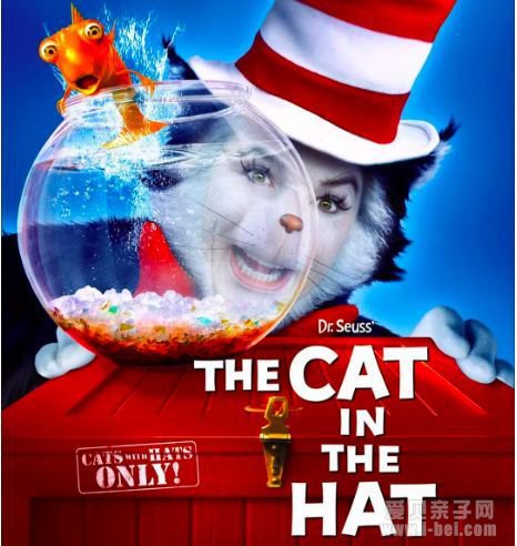 �汾��Ӣ�ģ��鵥