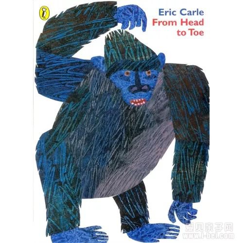 �汾��Ӣ�ģ��鵥